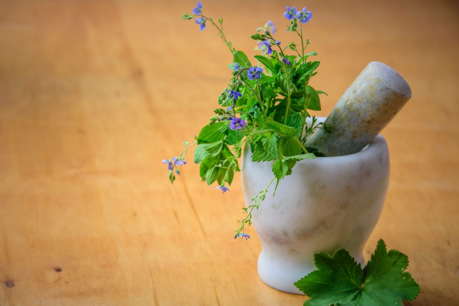 Naturopathic Care network